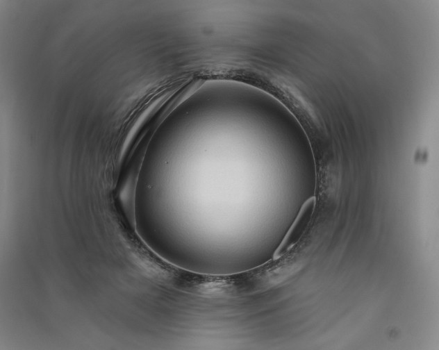 X0000091330505200708171354