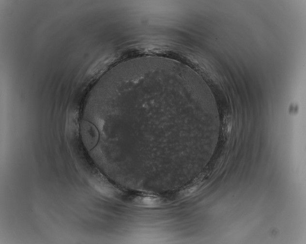 X0000091330506200708171354