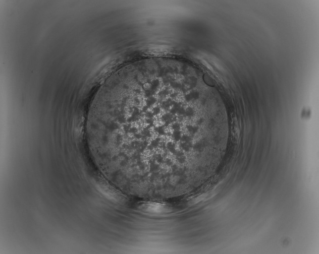 X0000091330507200708171354