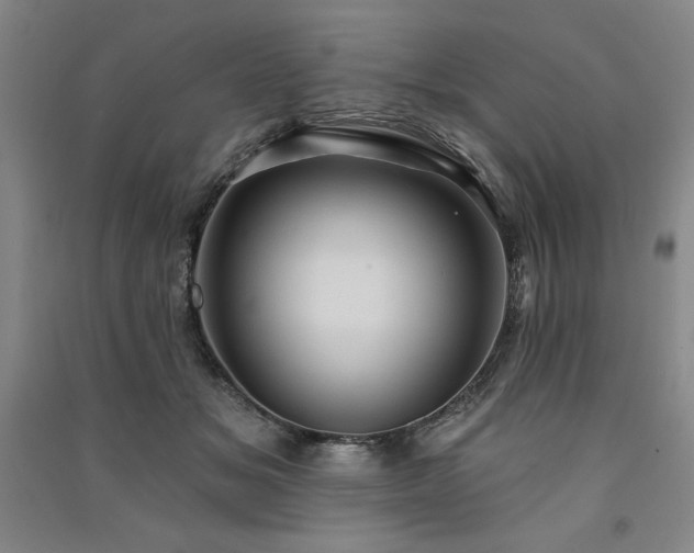 X0000091330509200708171354