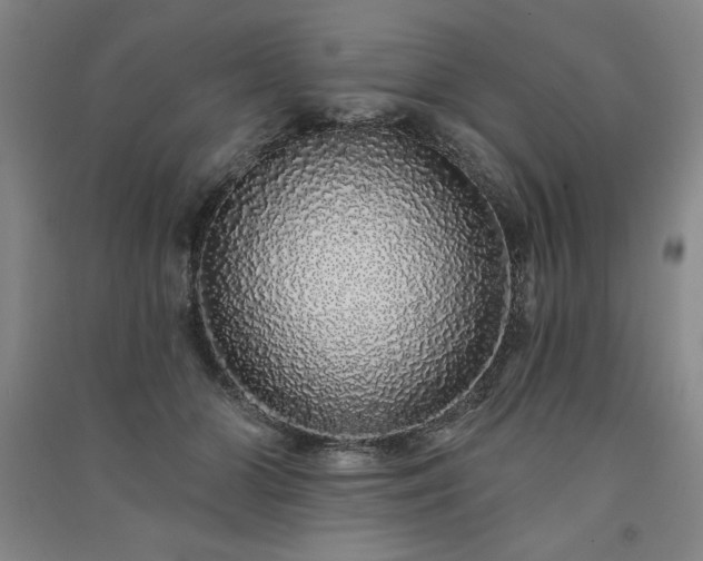 X0000091330510200708171354