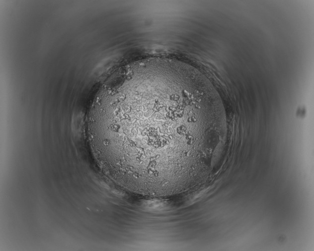 X0000091330511200708171354