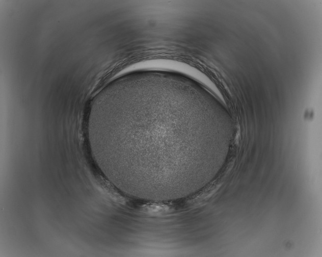 X0000091330512200708171354