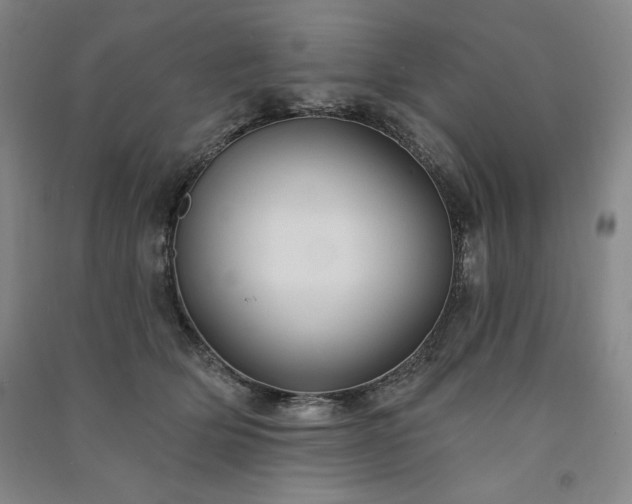 X0000091330514200708171354