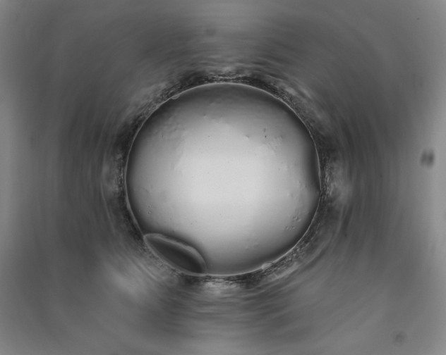 X0000091330515200708171354