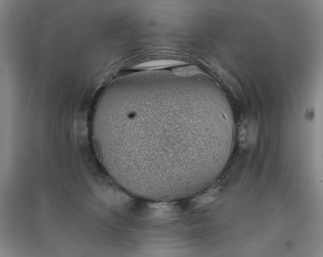 X0000091330516200708171354