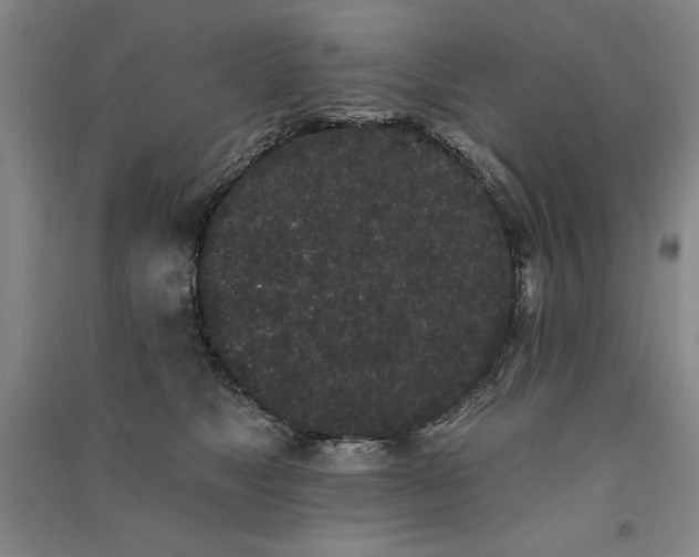 X0000091330517200708171354