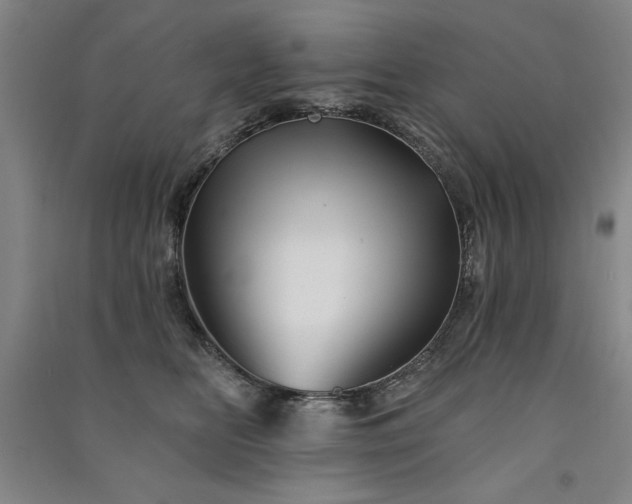 X0000091330518200708171354