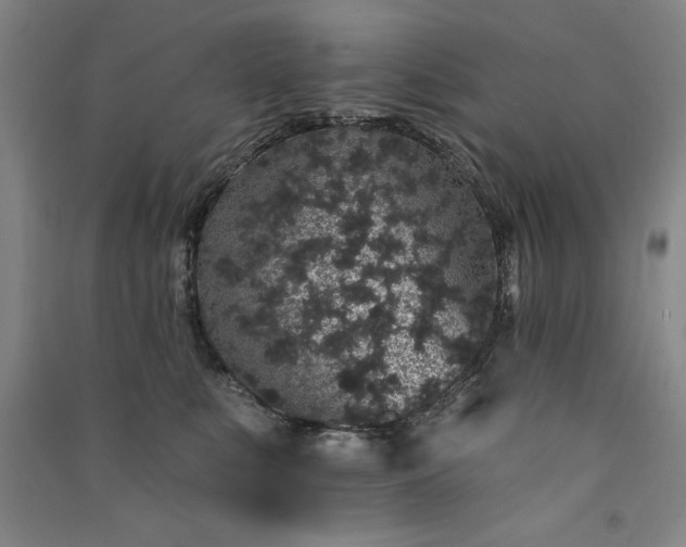 X0000091330519200708171354