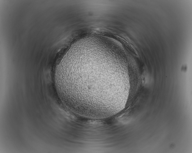 X0000091330520200708171354