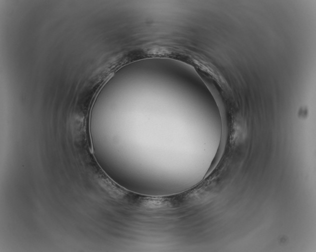 X0000091330521200708171354