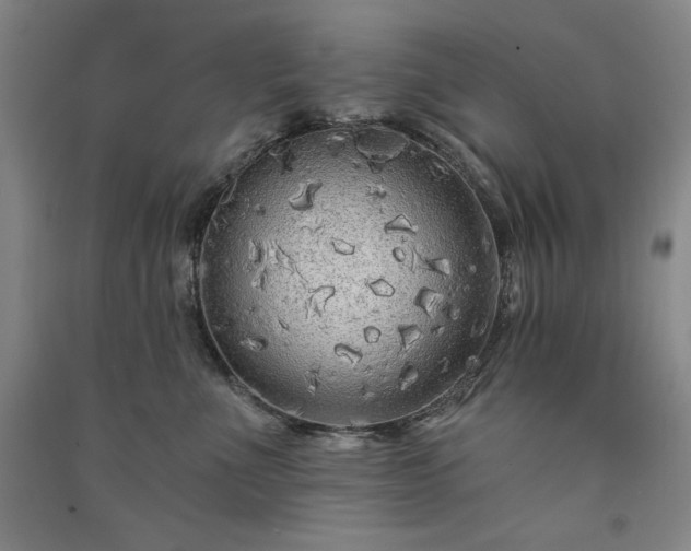 X0000091330523200708171354