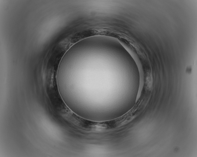 X0000091330525200708171353