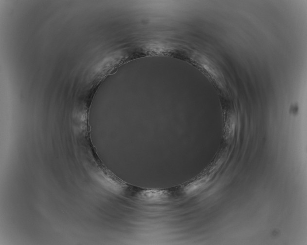 X0000091330526200708171353