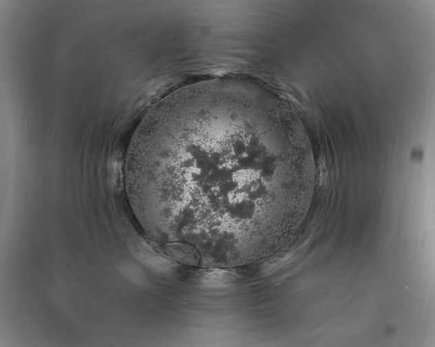 X0000091330527200708171353