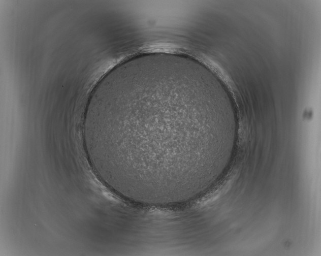 X0000091330529200708171353