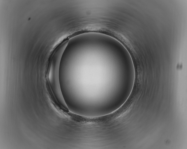 X0000091330530200708171353