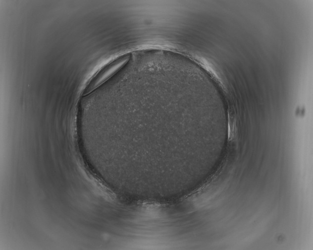 X0000091330531200708171353