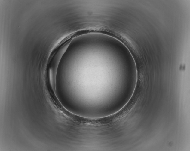 X0000091330532200708171353