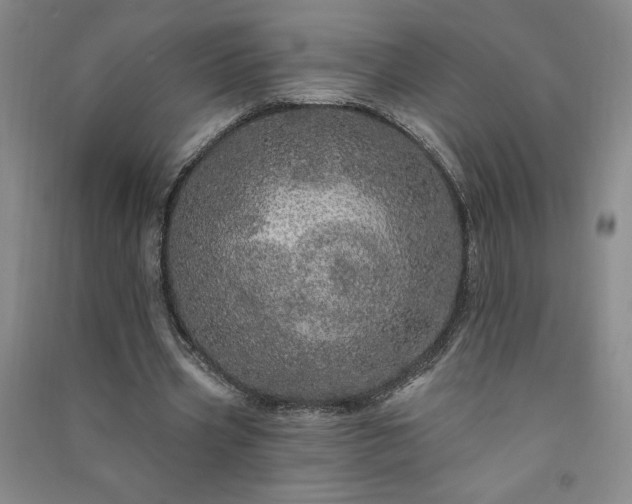 X0000091330533200708171353