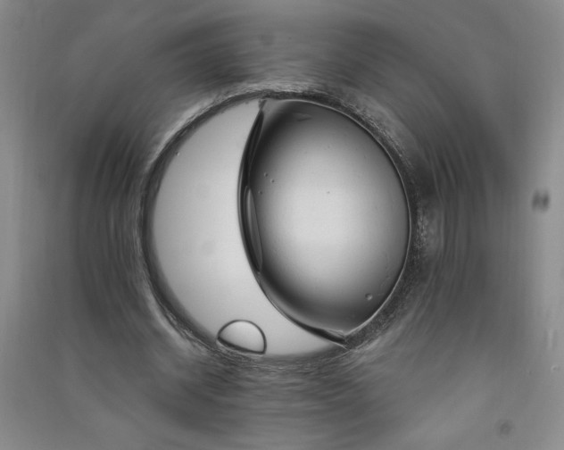 X0000091330534200708171353