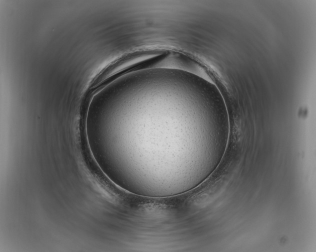 X0000091330535200708171353