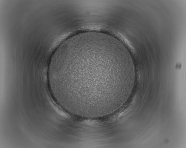 X0000091330537200708171353