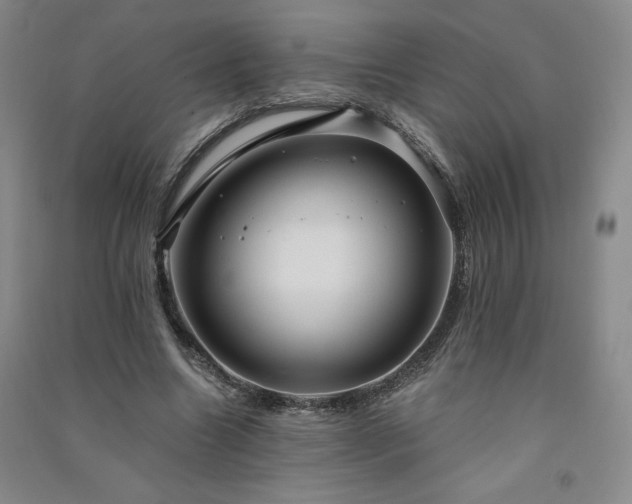 X0000091330538200708171353