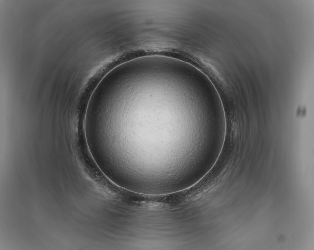 X0000091330539200708171353