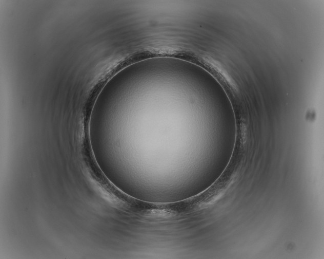 X0000091330541200708171353