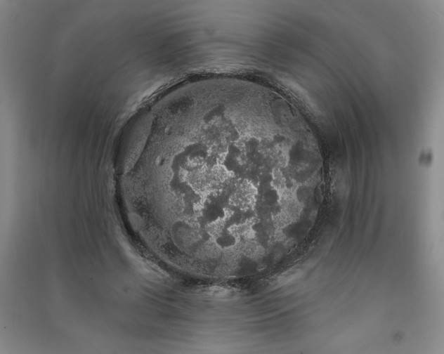 X0000091330542200708171353