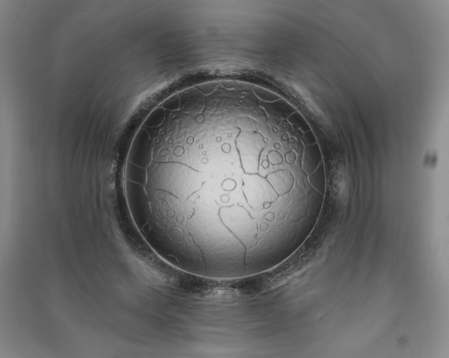 X0000091330543200708171353