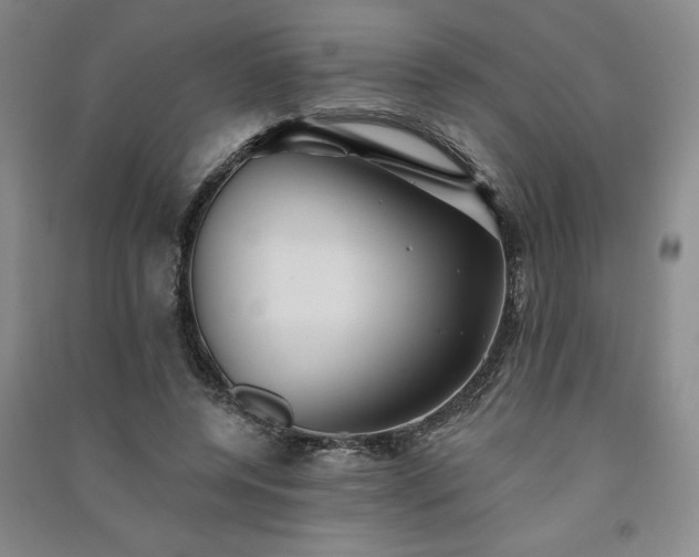 X0000091330544200708171353