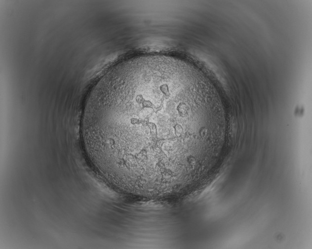 X0000091330545200708171353