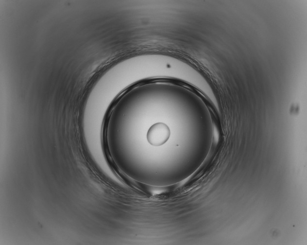 X0000091330547200708171353