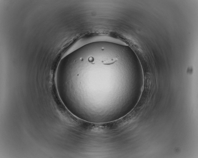 X0000091330550200708171353