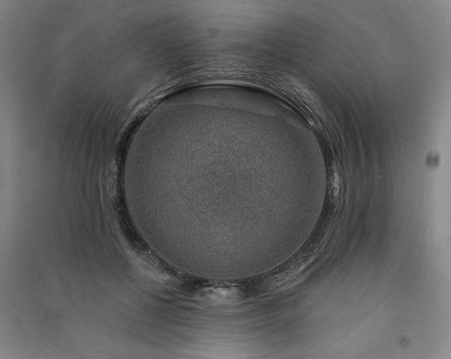 X0000091330552200708171353