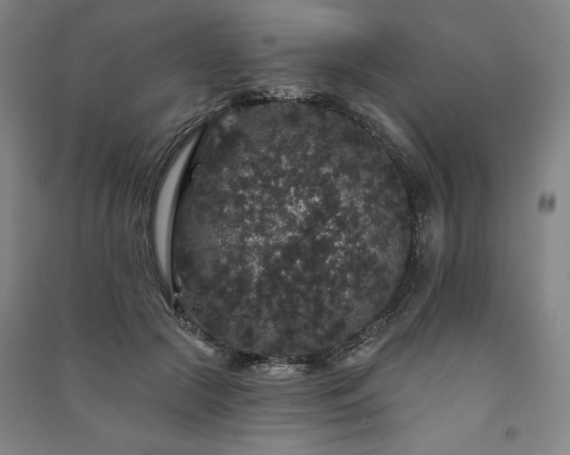 X0000091330553200708171353