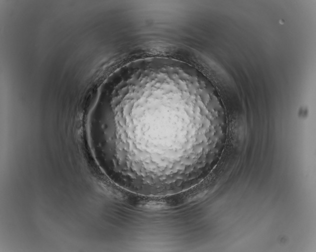 X0000091330554200708171353