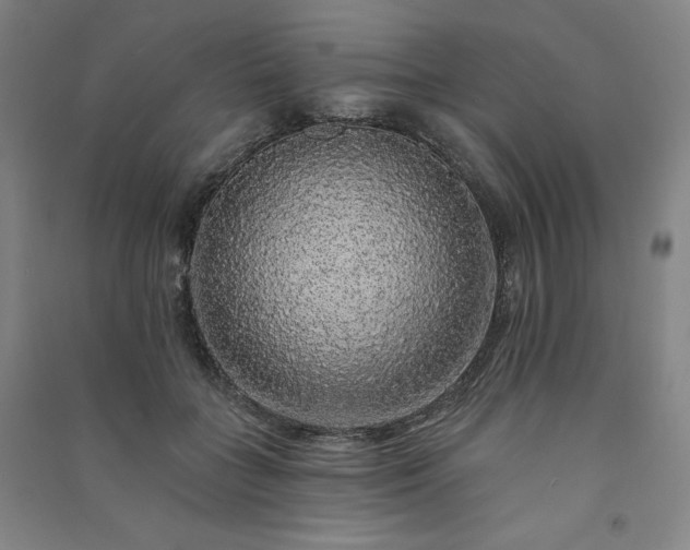 X0000091330555200708171353