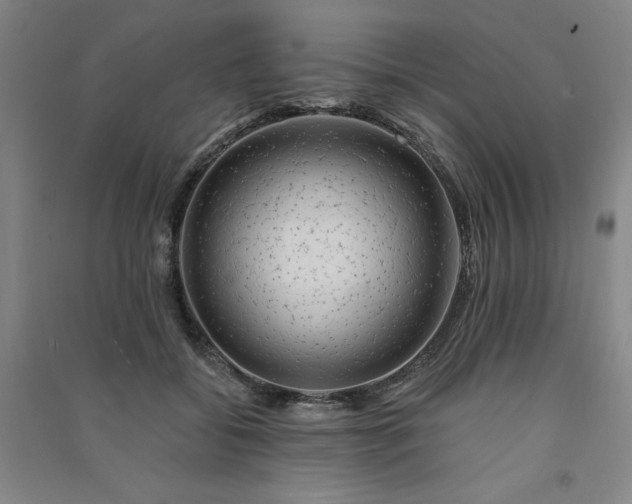 X0000091330556200708171353