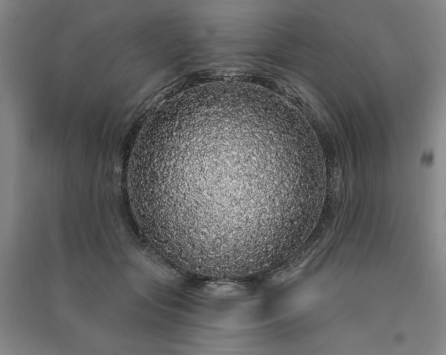 X0000091330557200708171353