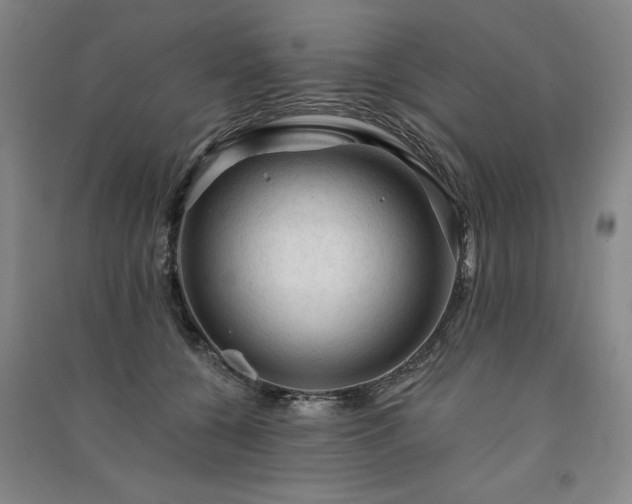 X0000091330560200708171353