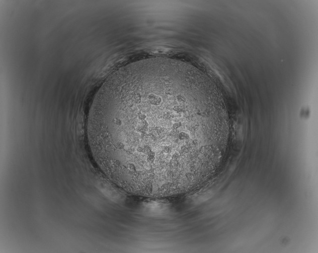 X0000091330561200708171353