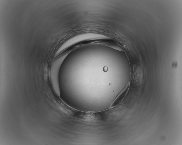 X0000091330562200708171353