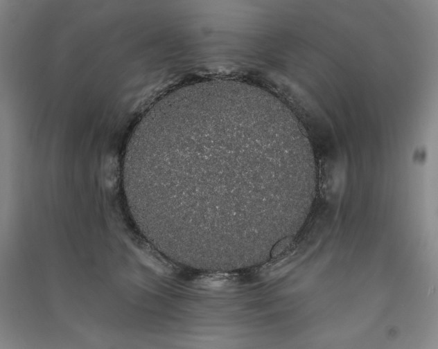 X0000091330563200708171353