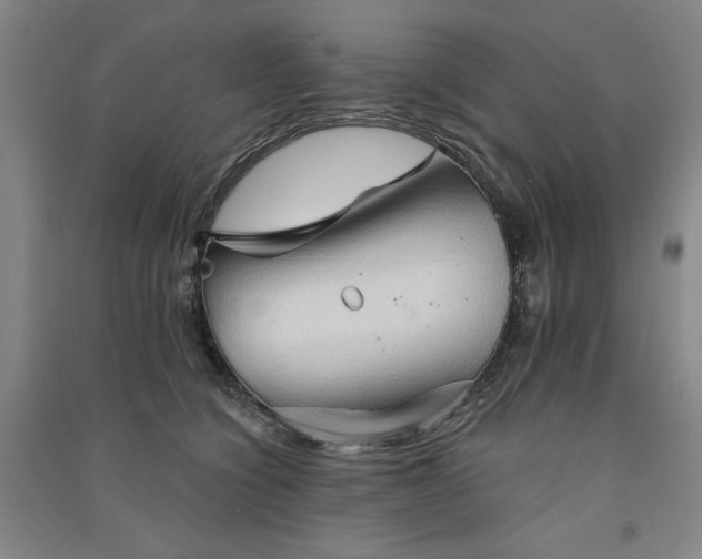 X0000091330564200708171353