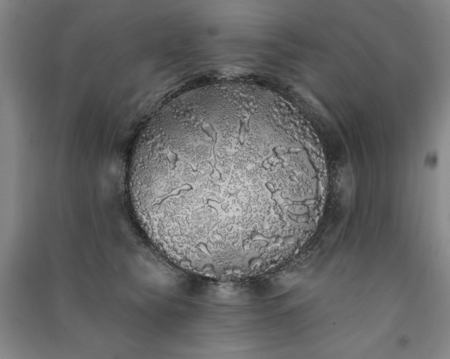 X0000091330565200708171353