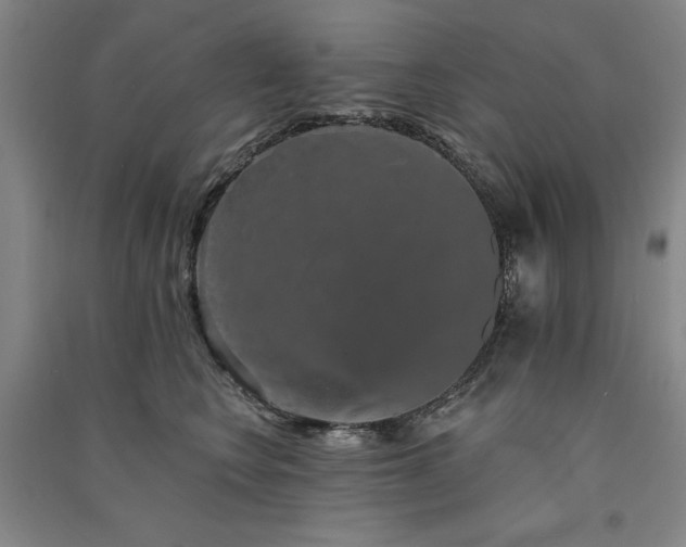 X0000091330566200708171353