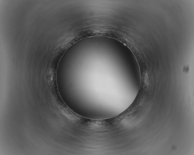 X0000091330567200708171353